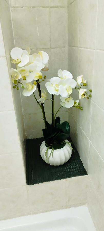 Epiro Home โรม ภายนอก รูปภาพ